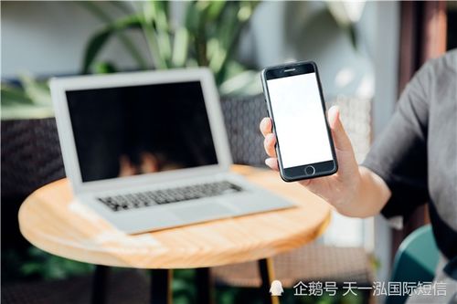 如何做转化率高的营销短信