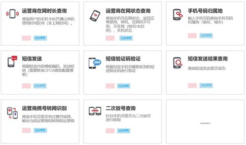 个人信息0缓存, 安心验 多维度数据服务让数据安全无忧