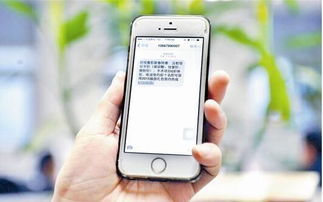 短信营销 超越群发的智慧之道