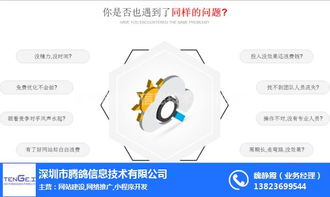 腾鸽信息 专业网络推广与短信营销，助力企业高效获客